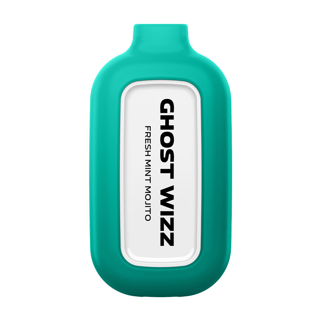 Ghost Wizz Fresh Mint Mojito Disposable Vape