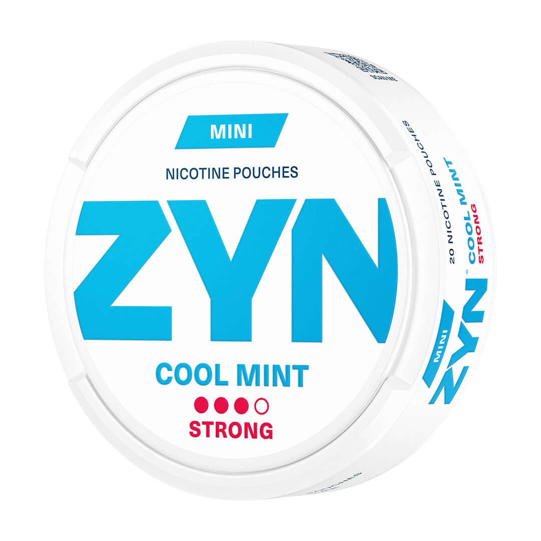 ZYN Cool Mint Mini Pouches